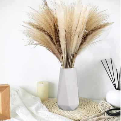 China Dry flower Phragmites communis bouquet by Europe China professional manufacture for decoration pampas grass big pampas for sale