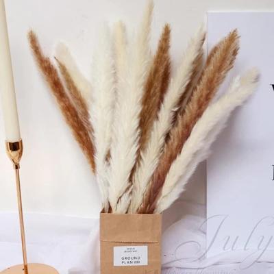 China From Europe Factory Wholesale Natural Straw Large Artificial Faux Reed Dry Pampas Grass Directly For Decoration for sale