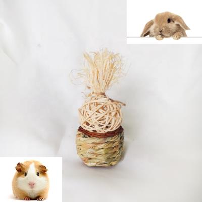 China Sustainable Enriched Life - Celebration Basket for Pet for sale