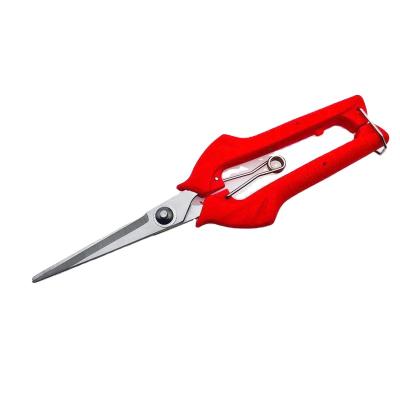 China Plastic Orchard Scissors Garden Shear Melon and Fruit Scissors for sale