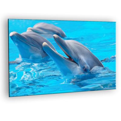 China Modern 3D Canvas Print Dolphin A2 Poster Print, Coated Paper Poster Print, Custom Full Color Photo Poster With Wood Frame Stretch for sale