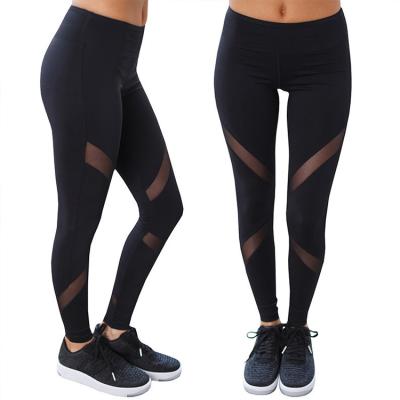 China Yoga Pants Mesh Sports Gaiters Women Fitness Antibacterial Black Antibacterial Belly Control Arm Warmers for sale