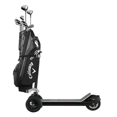 China Password Safety ESWING Inventory 500w 16Ah Golf Bag European Adult Foldable Electric Scooter for sale