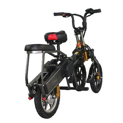 China Bicicleta Mountainbike Retro Large Capacity Battery Three Wheel Electric Bike Mountain Outdoor Cool Foldable Battery for sale