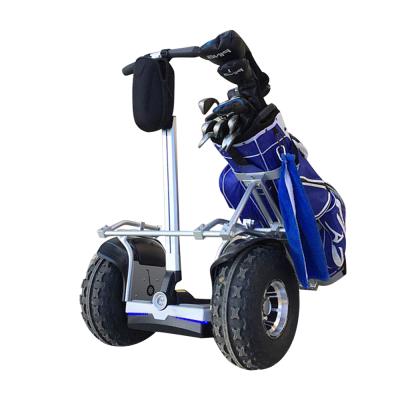 China 19 Inch 3200W Unisex Smart Intelligent Self Balanced Cart Motorized Electric Golf Scooter Golf Carts for sale