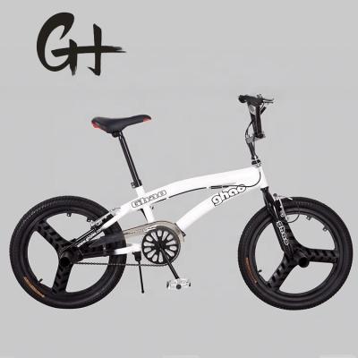 Cina 12 kg Magwheel Plastic Teny Full Custom Freestyle BMX Bike con telaio in acciaio in vendita