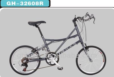 China 14 Speed 20 inch Mini Road Bike Bicycle with Double Wall Aluminium Rim and Foldable for sale