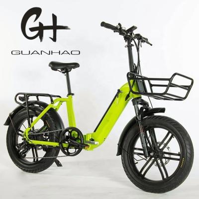 China 750W Magwheel Motor Thru Aluminum Folding Frame Suspension Fork Electric Folding Bike for sale