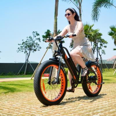 China 750W 50KM/H A2B CE Chinese OEM 48V Motor Fat Tire Electric Mountain Bicycle Good Nice for sale