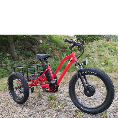 China 500W Cargo Volwassenen 3 Wiel Elektrische Fiets met Fat Aluminium Rim en EN71 Certificaat Te koop