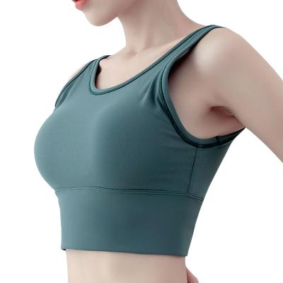 China 2020 new fall/winter collection antibacterial running fitness yoga sports lingerie border sports shockproof bra for sale