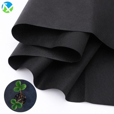 China Waterproof Weed Control Cloth Mat Autumn And Winter Antifreeze Plant Nonwoven UV Blanket For Outdoor for sale