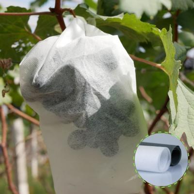 China Waterproof Agriculture Plant Frost Proof Nonwoven Banana Bag Weed Control Fabric Roll Hydrophilic Cold Anti UV PP for sale