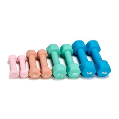 China Universal factory ready to ship home fitness boxing iron hex dumbbell for bodybuilding for sale