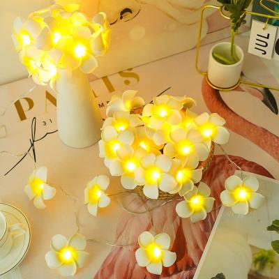 China String Lights Artificial Flower String Plumeria Moss Frangipani Hawaiian Flower Small Decoration Led Home Decorative Lamp Lighting for sale