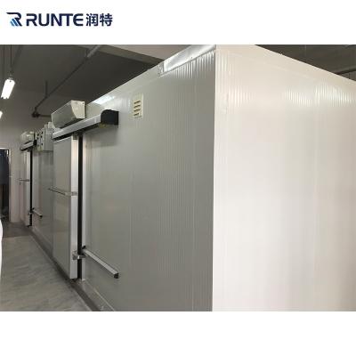 China Runte Sustainable Cold Room Supplier Cold Storage Equipment Customized Freezer For Fish And Meat for sale