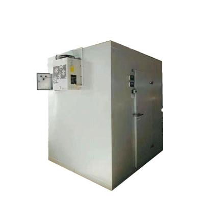 China Hotel Fish Storage Cold Room Freezer for sale