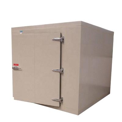 China Hotel New Arrival Hot Products Cold For Frozen Meat And Fish Storage Ice Cream Room for sale