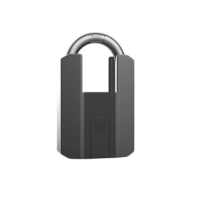 China 800KG 2023 Top sales  OEM/ODM customizable LOGO Smart fingerprint TT LOCK APP Unlock intelligent padlocks for backbag/ bicycle etc. for sale