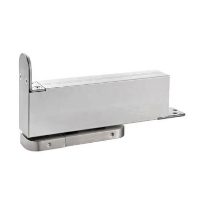 China Door Hinge Patch Fixture Null Wood Hydraulic Door Closer for sale