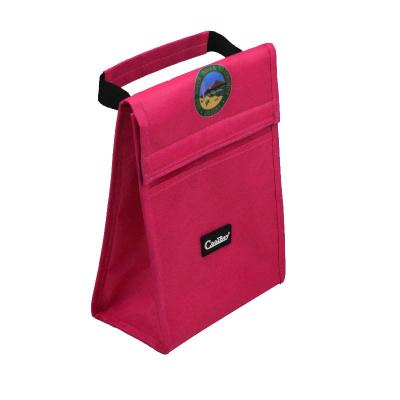 China Simple Easy Clean Reusable Non Woven Lining Lunch Cooler Bag For Carry Meals for sale