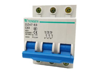 China Saftey MCB Mininature Circuit Breaker For Motor / Lighting Distribution System 63A for sale