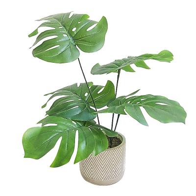 China Turtleback Minimalist Ornamental Green Bamboo Potted With 5 Forks Artificial Turtleback Leaf Flower Plant Wall for sale