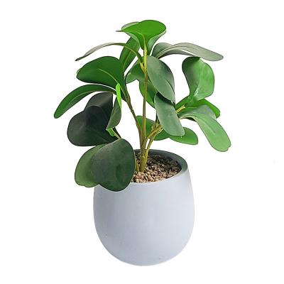 China Bay leaf potted leaf minimalist artificial living room decoration bean four seasons evergreen bonsai for sale