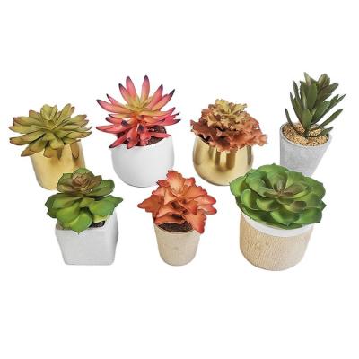 China Minimalist Potted Artificial Succulent Plants Potted Bonsai Garden Home Decoration Green Pieces for sale