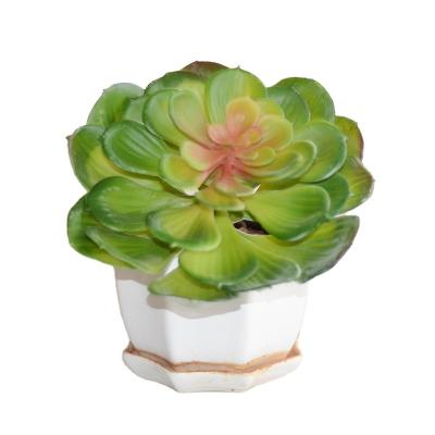 China Large faux minimalist artificial succulent wall decoration flower garden wedding decoration eal for sale