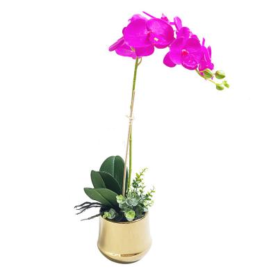 China Simple minimalist wholesale ceramic flower pots round phalaenopsis vase gold plated flower pots for sale