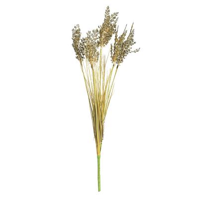 China Minimalist Natural Dry Music Dry Flower Farm Harvest Branch Rice Straw Flower Spike Pastoral Rice Props Pull Dry Wheat for sale