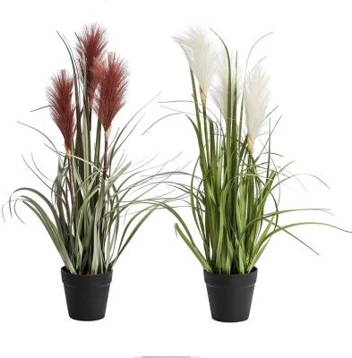 China Modern DESIGN 21 inch Artificial Potted Plants, Faux Reed Grass potted in black plastic pot set of two, white and red colors. for sale