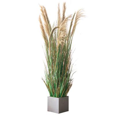 China 180CM Phragmites Ditch Rush Reed Garden Artificial Landscape Minimalist Potted Plant for sale