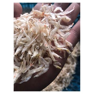 China NATURE Top Quality Newcomers Dried Small Prawn Small Delicious Dried Shrimp for sale