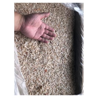 China NATURE Wholesale China Shrimp Small Fresh Dried Ried Cheap Shrimp For Sale for sale