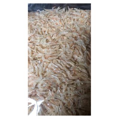 China NATURE factory direct sales dried small shrimp high quality dry small shrimp for sale