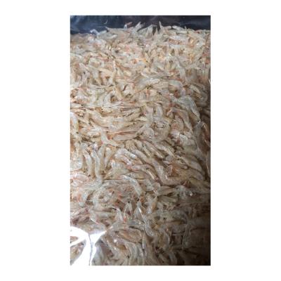 China NATURE Factory Directly Wholesale Dried Small Shrimp Cheap Dried Small Shrimp for sale