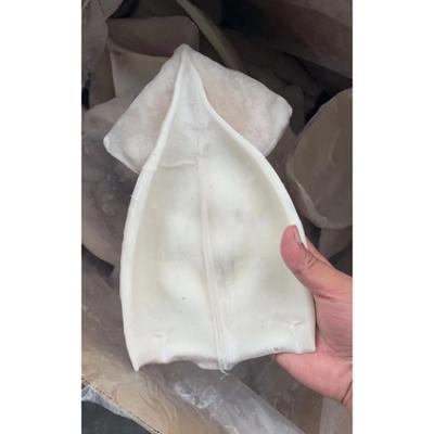 China NATURE Wholesale Various Size Fresh Squid Meat Squid Frozen Tube for sale