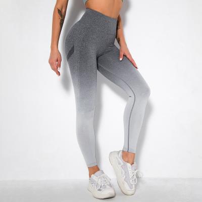 China Other Hot Selling High Quality Yoga Pants Fitness Pants Yoga Pants for sale