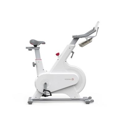 China Home Use 2020 Professional Exercise Indoor Recycling Spin Bike for sale