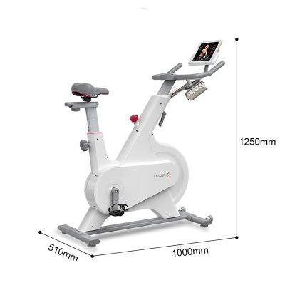 China 100kg yesoul M1smart gym indoor static indoor home cycle bluetooth fitness spinning bicycle magnetic resistance exercise commercial spinning bike for sale