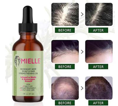 China Hidratante Mielle Rosemary aceite para el cabello con aceite de aguacate Jojoba almendra fórmula ligera en venta