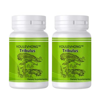 Китай GMP Certified NSF Listed FDA Registered Tribulus Terrestris Capsules - 90 капсул Веганская добавка продается