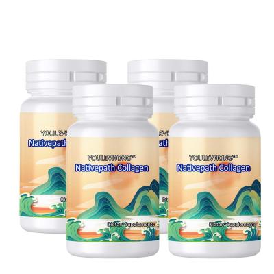 China Collagen Supplement Powder With Type II Collagen Peptides For Joint Support Nativepath Collagen Supplement for sale