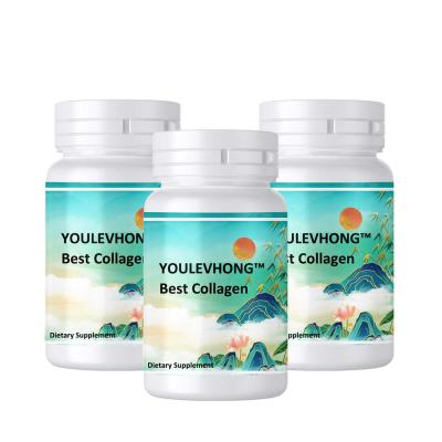 Chine Poudre de peptides de collagène sans saveur - 41 portionsv Meilleur supplément de collagène - Non OGM / sans gluten - mélangé à l'eau ou à la boisson à vendre