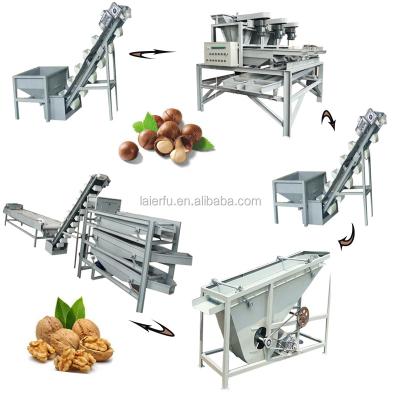 China Newest Sunflower Nuts Seed Kind Grader Grading Machine for sale