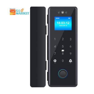 Cina Glomarket Tuya Smart 3d Face Recognition Wifi Glass Door Lock Impressione digitale Password Carta di accesso Serratura elettronica per ufficio in vendita