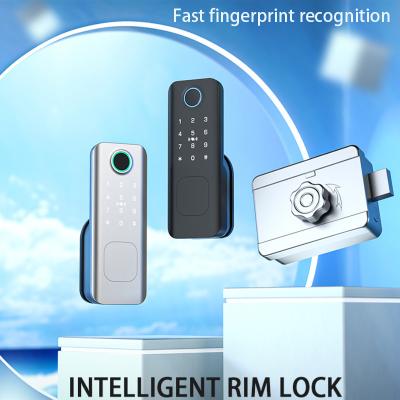 Cina Glomarket Sicurezza all'aperto Chiave digitale intelligente Password impronta digitale Smart Rim Door Lock For Gate Porta d'ingresso in vendita