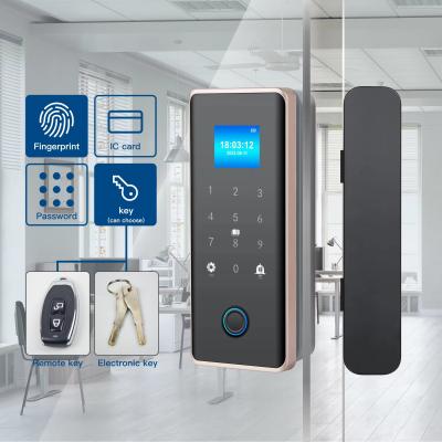 China Glomarket Smart Glass Door Lock Wifi Remote Control Tuya app Office Lock Card Digital Biometric Fingerprint Door Lock for sale